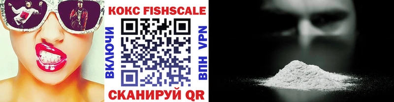 Cocaine Fish Scale  Купить закладки  Мончегорск 