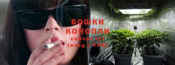 мдпв Горно-Алтайск