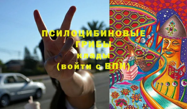 дживик Горнозаводск