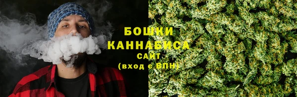 мдпв Горно-Алтайск