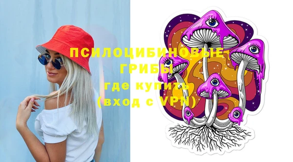 мдпв Горно-Алтайск