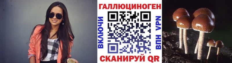 Псилоцибиновые грибы Magic Shrooms  Купить где  Мончегорск 