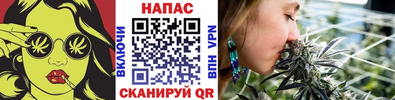Купить  Мончегорск  Конопля сатива 